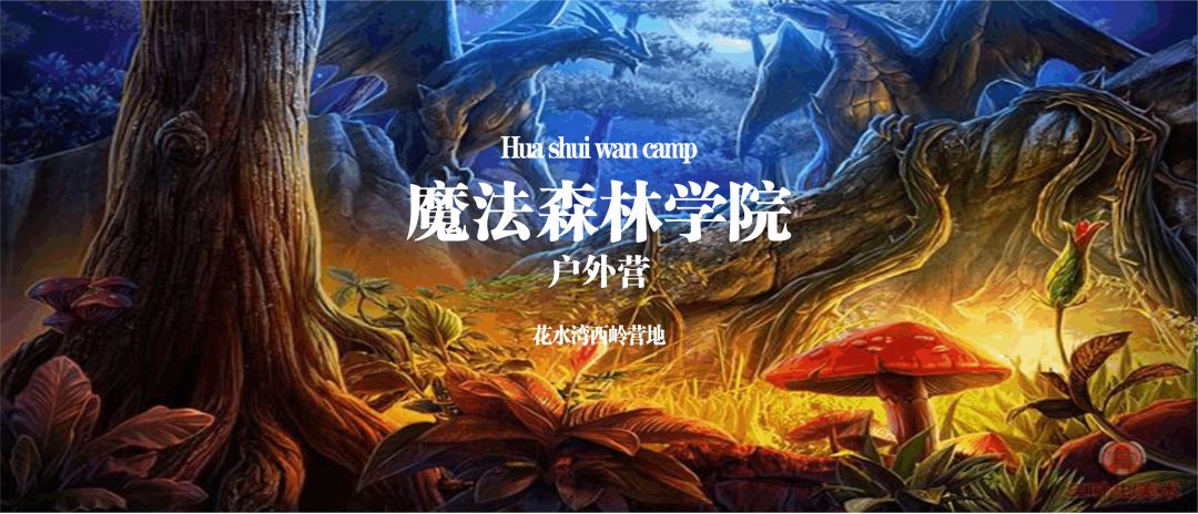 独立营①||【魔法森林学院】花水湾5天4夜户外主题营
